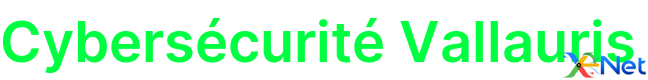 Cybersécurité Vallauris